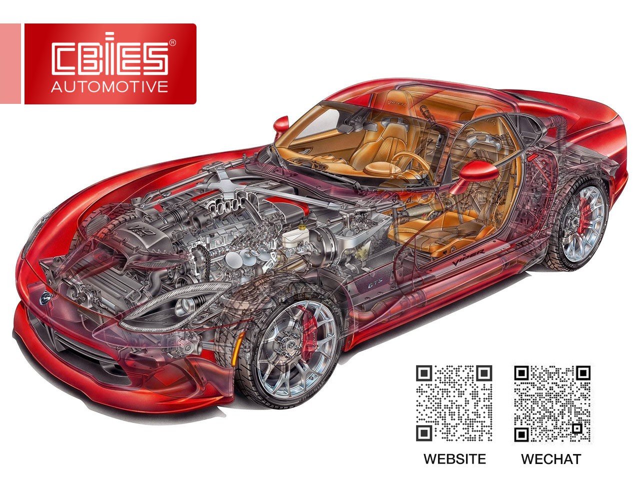 CBIES-AUTOPARTS-CHINA-SHOCK-ABSORBER-TUBE CBIES-AUTOPARTS-CHINA-SHOCK-ABSORBER-TUBE